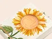Body Care Wholesalers 7-10 Days for Sample Delivery by Lily Bath 4