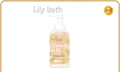 Foaming Hand Soap Manufacturer Champagne Color by Lily Bath 1