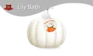 Hand Care Company 22 Fl Oz / 650 ML - - Lily Bath 1
