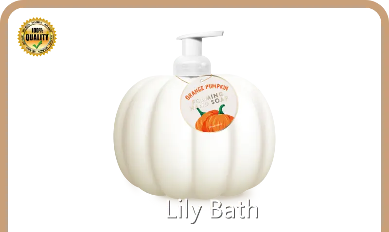 Foaming Hand Soap 22 Fl Oz / 650 ML - - Lily Bath 1