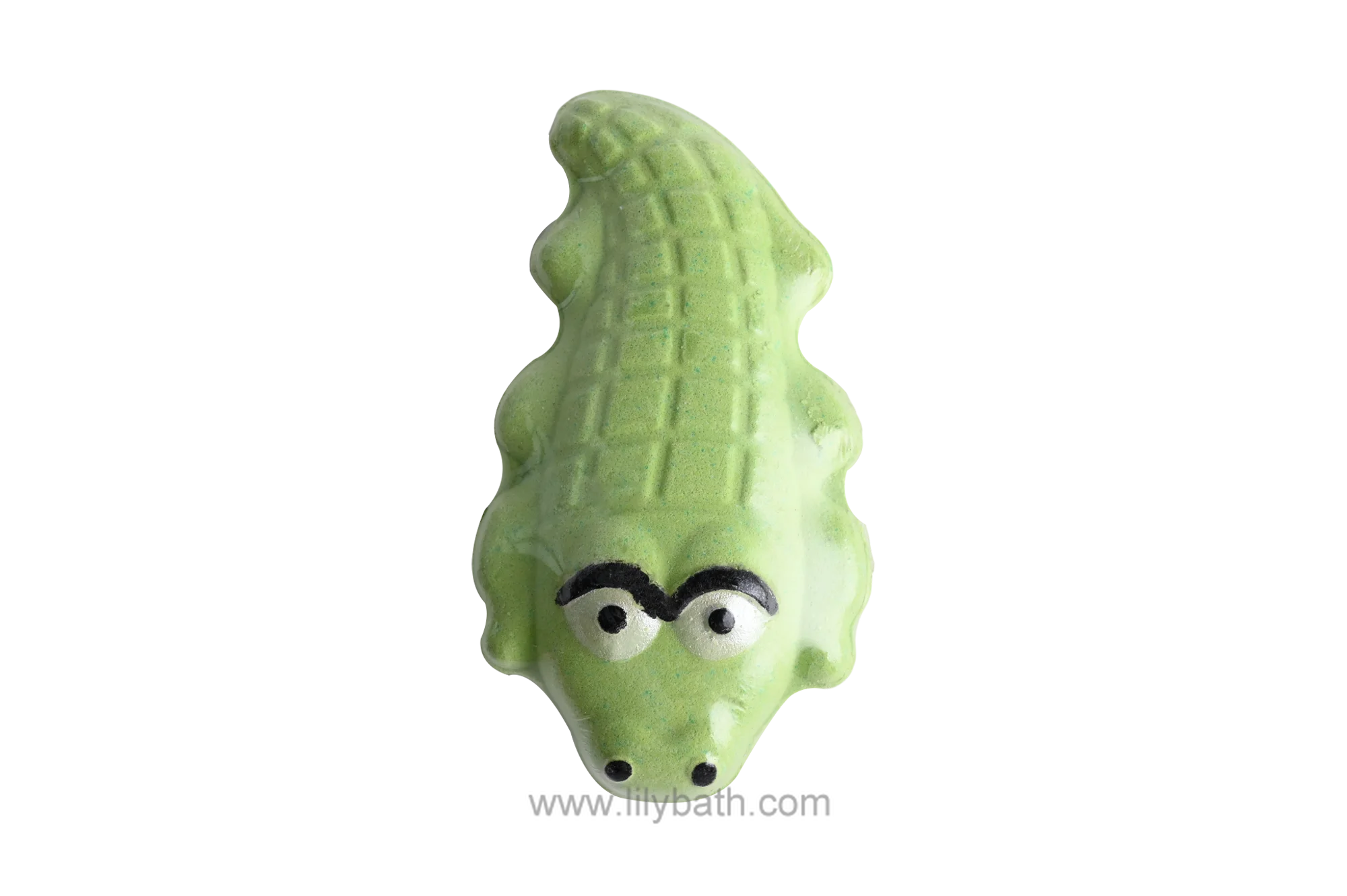 수제 동물 샤워 기선