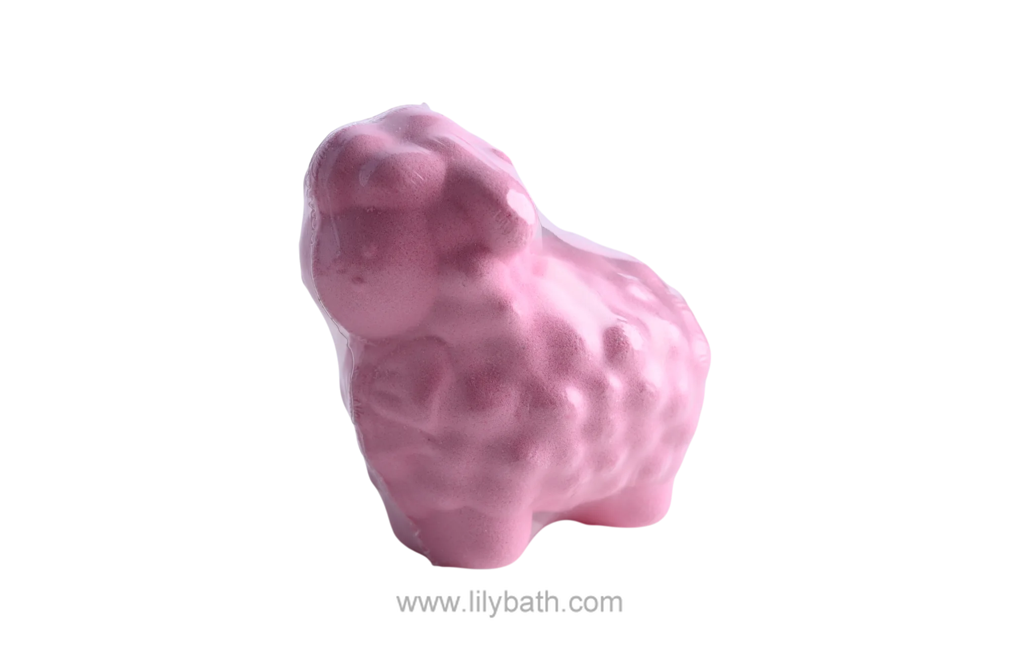 Animal Shaped Bath Bomb